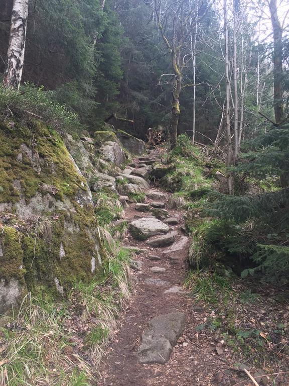 Blockhaus An Der Skiwiese Braunlage Kültér fotó