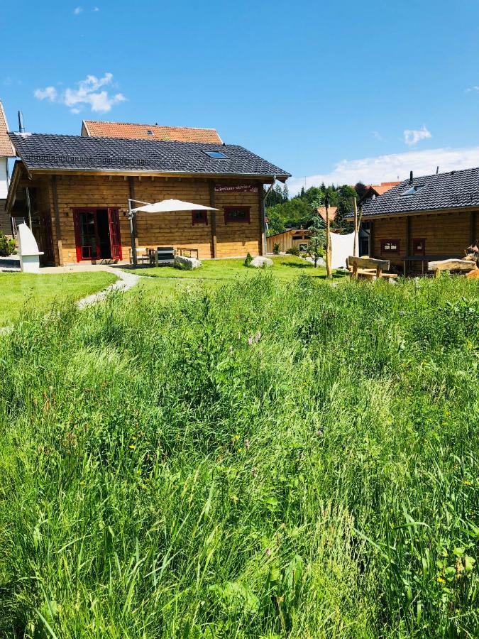 Blockhaus An Der Skiwiese Braunlage Kültér fotó